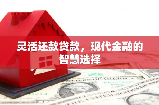 和静灵活还款贷款，现代金融的智慧选择