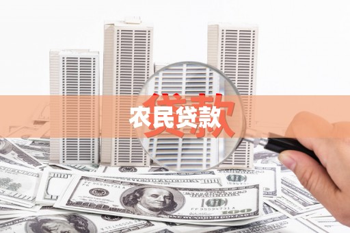 阜平农民贷款