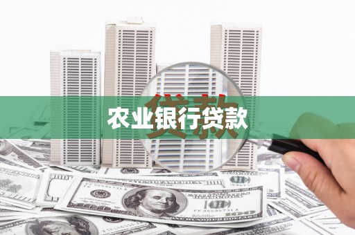 镇雄农业银行贷款