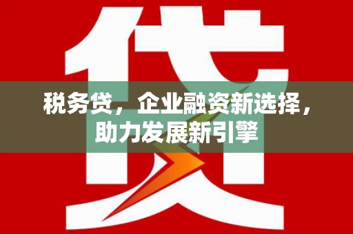 大名税务贷，企业融资新选择，助力发展新引擎