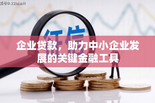 零陵企业贷款，助力中小企业发展的关键金融工具