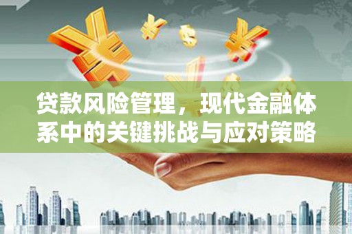 綦江贷款风险管理，现代金融体系中的关键挑战与应对策略
