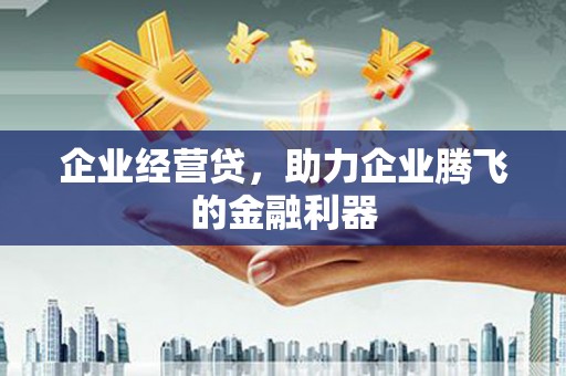 土默特左旗企业经营贷，助力企业腾飞的金融利器