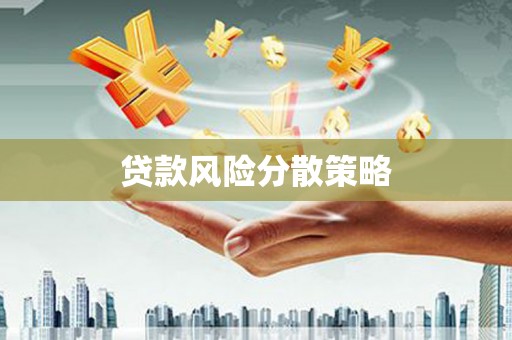 双流贷款风险分散策略