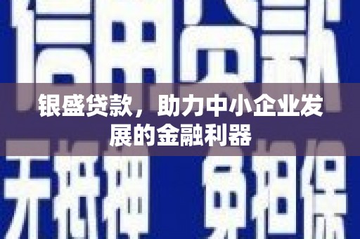 大丰银盛贷款，助力中小企业发展的金融利器