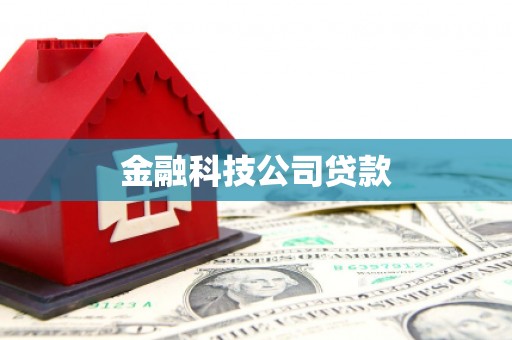 镇赉金融科技公司贷款