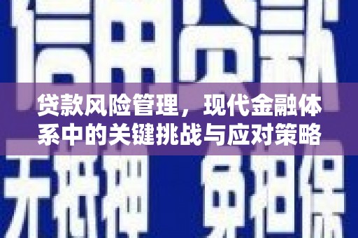 光明新区贷款风险管理，现代金融体系中的关键挑战与应对策略