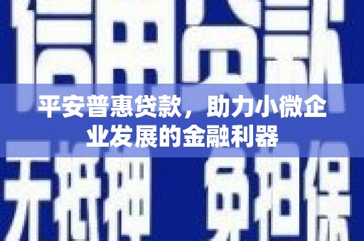 南平平安普惠贷款，助力小微企业发展的金融利器