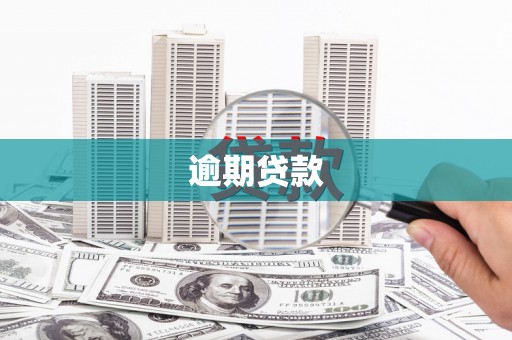 称多逾期贷款