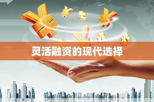 沙鹿灵活融资的现代选择