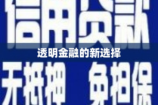 美浓透明金融的新选择