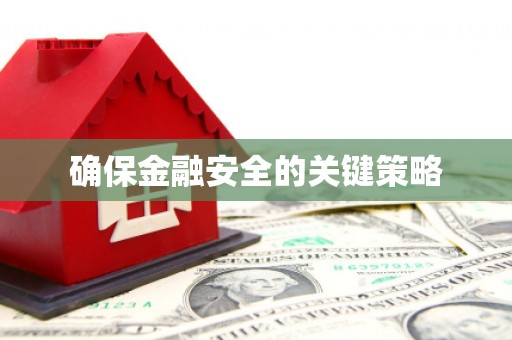 宁乡确保金融安全的关键策略