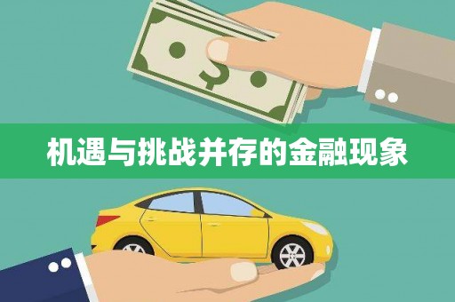 阿莲机遇与挑战并存的金融现象